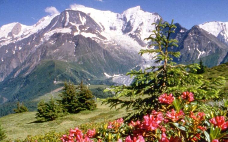 Location été à Saint-Gervais — alpages et randonnées au pied du Mont-Blanc