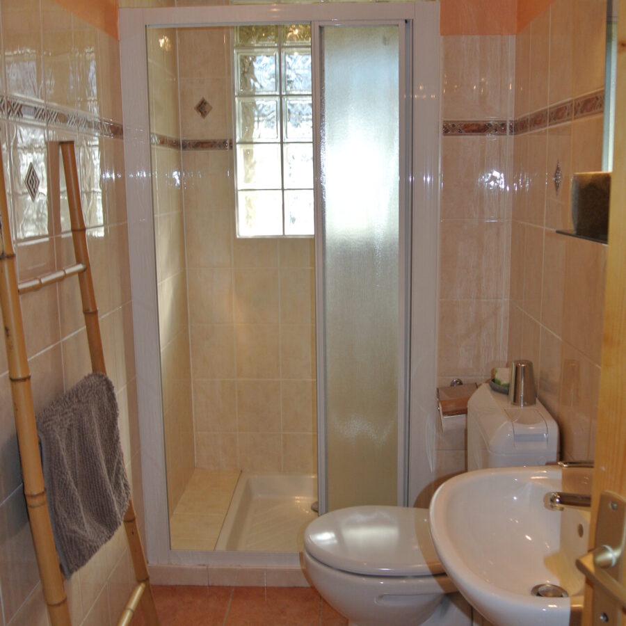 Salle d'eau avec douche de l'appartement Le Refuge à Saint-Gervais